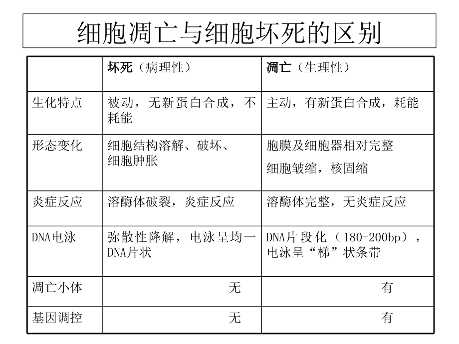 细胞凋亡的信号通路.ppt_第2页