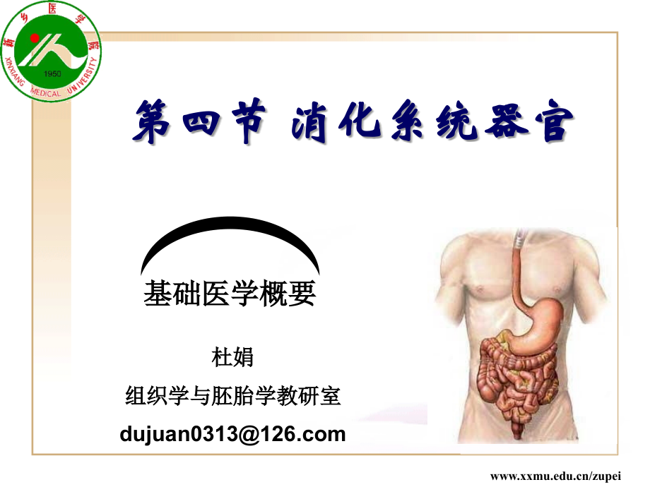 中空性器官2.ppt_第1页
