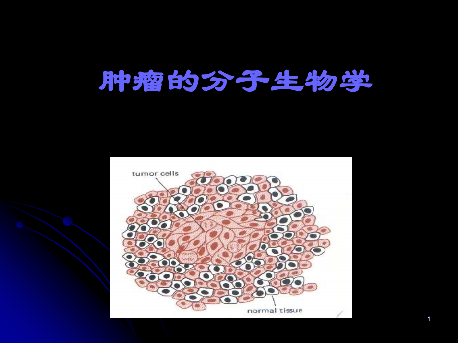 生物化学和分子生物学5.ppt_第1页