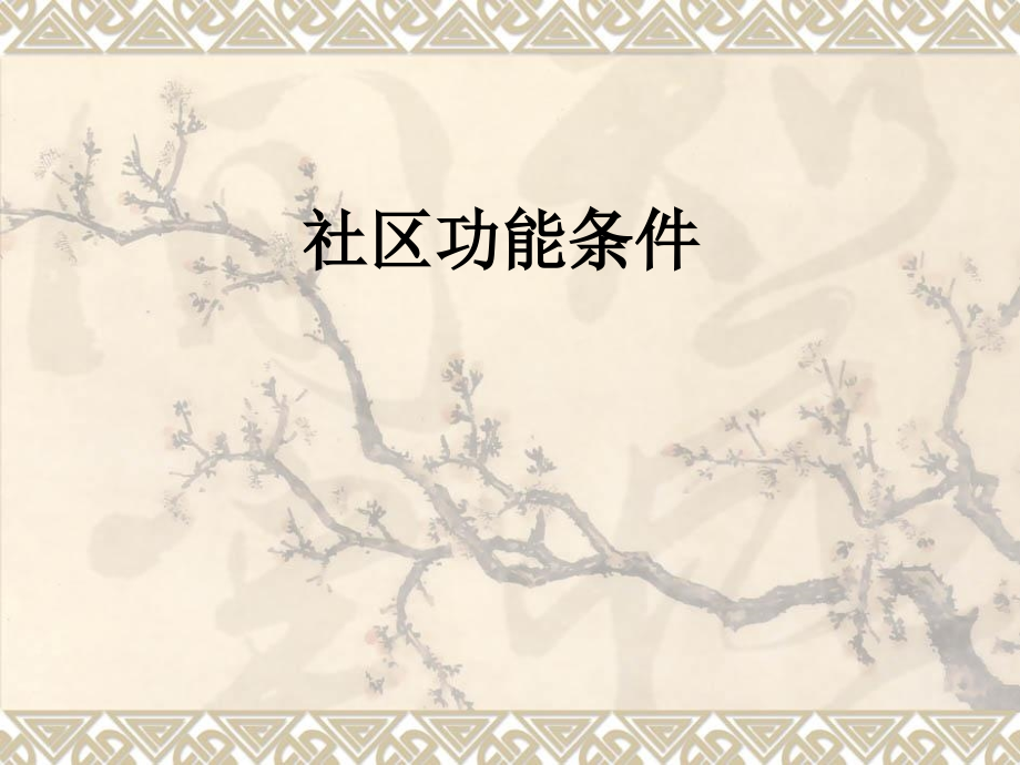 社区功能条件.ppt_第1页