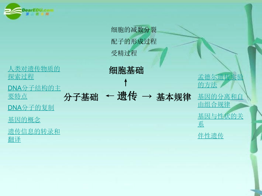 专题三遗传的基础和遗传定律新人教版.ppt_第2页