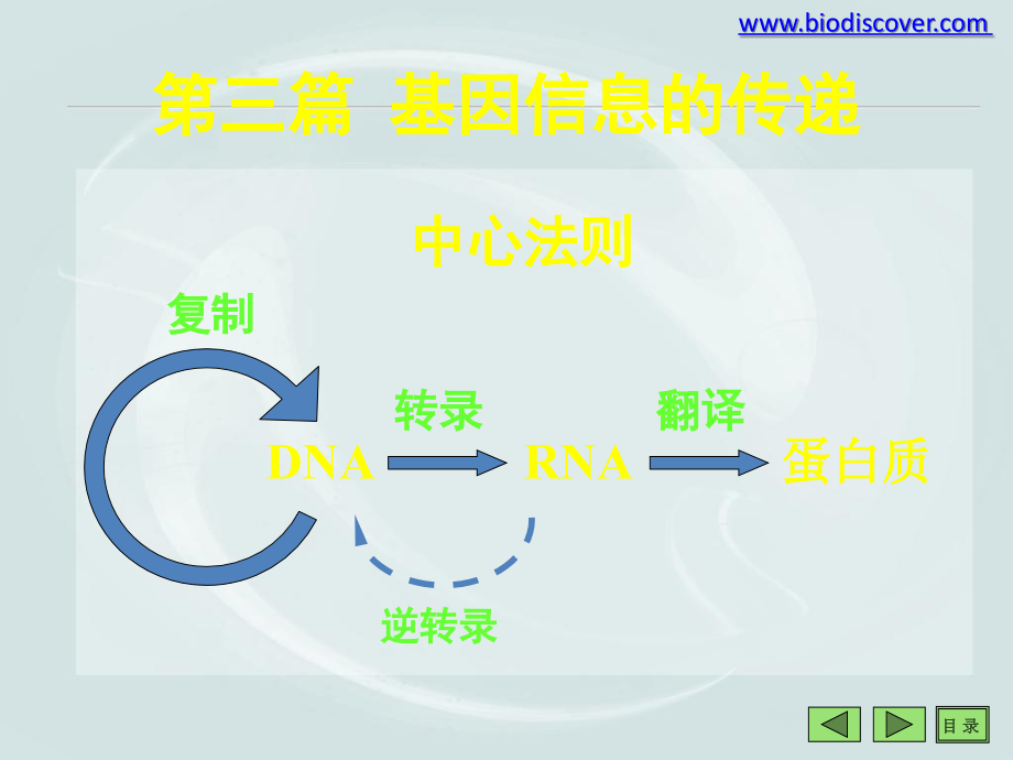 基因信息的传递.ppt_第1页