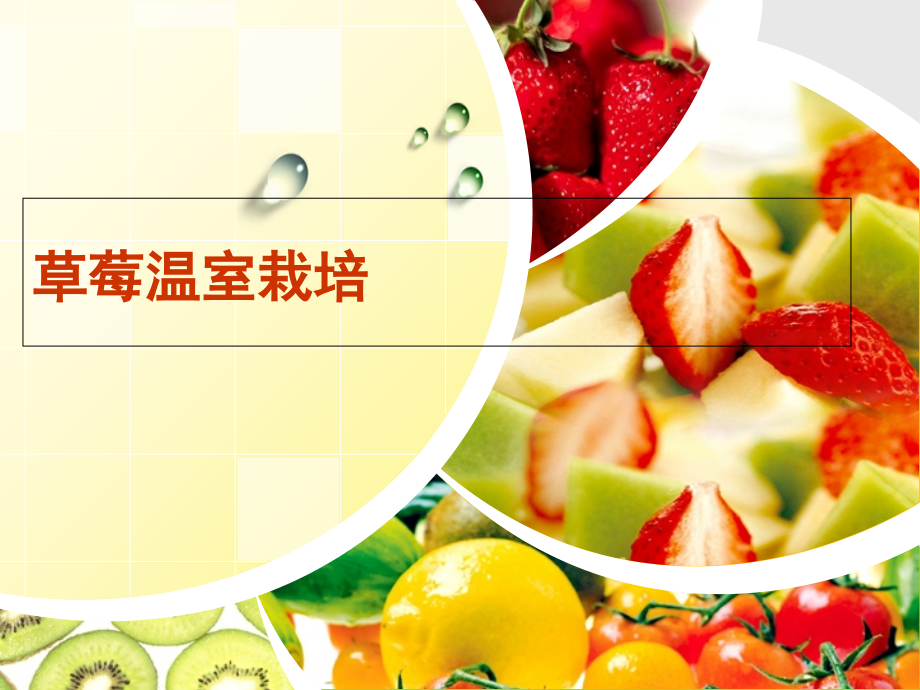 草莓品种及生产技术.ppt_第1页