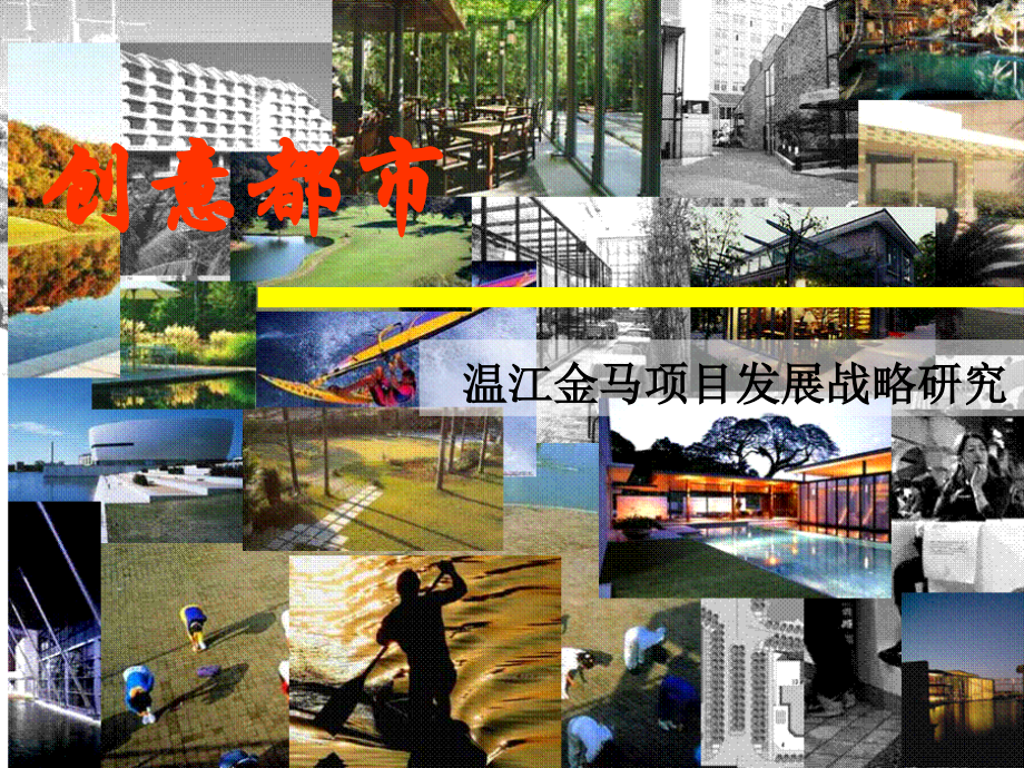 成都温江金马项目发展战略研究报告(s联-193页).ppt_第2页