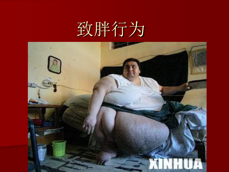致胖行为知识PPT.ppt_第1页