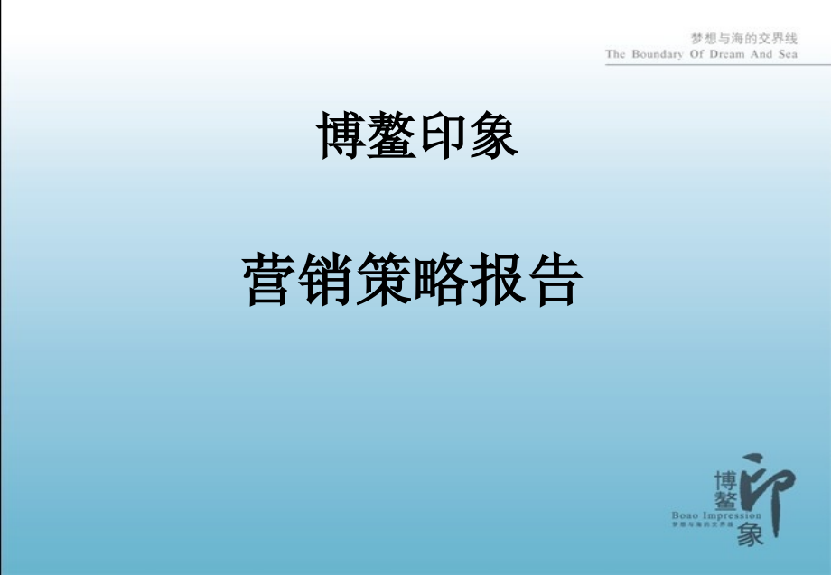 博鳌印象营销策略报告153p.ppt_第1页