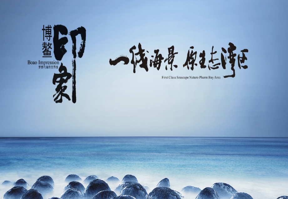 博鳌印象营销策略报告153p.ppt_第2页