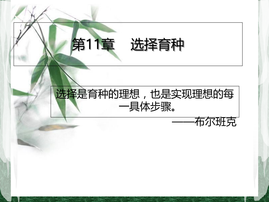 第11章选择育种.ppt_第1页