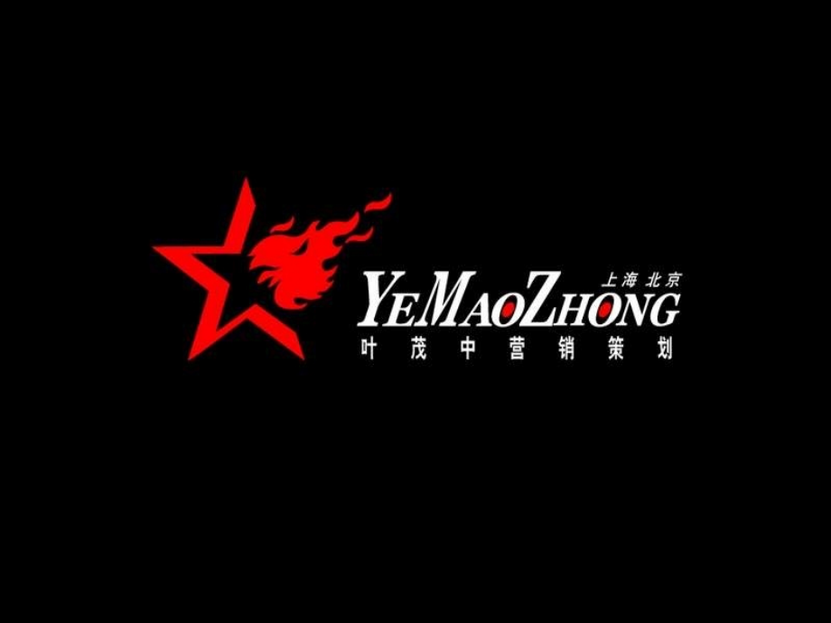 叶茂中-金六福品牌诊断与规划报告-485P.ppt_第1页