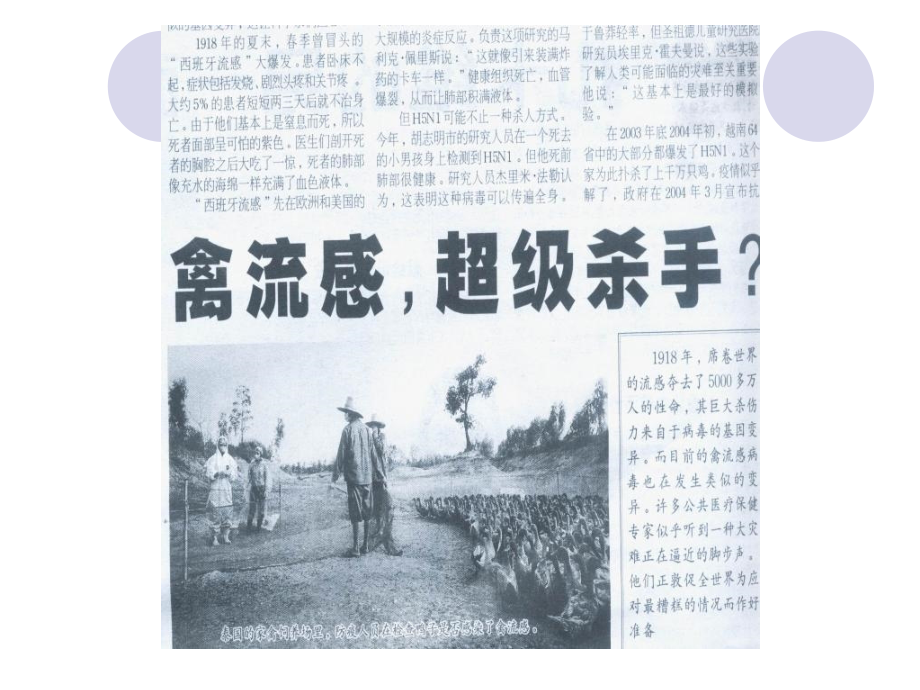 第五讲病毒.ppt_第2页