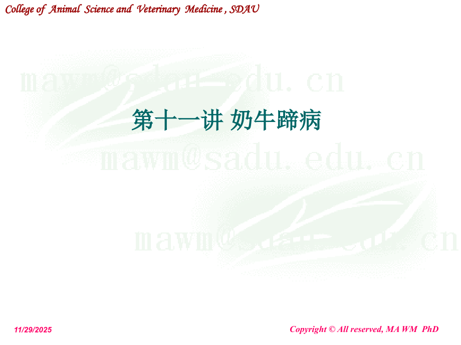 动物外科学13foot.ppt_第1页
