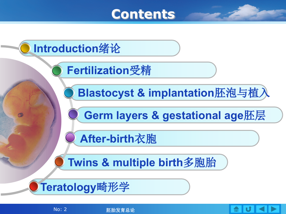 人体胚胎发育总论.ppt_第2页