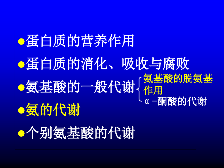 氨基酸代谢.ppt_第2页