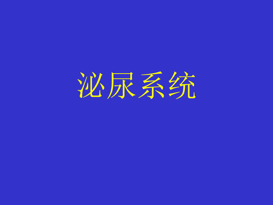 泌尿系统11504.ppt_第2页