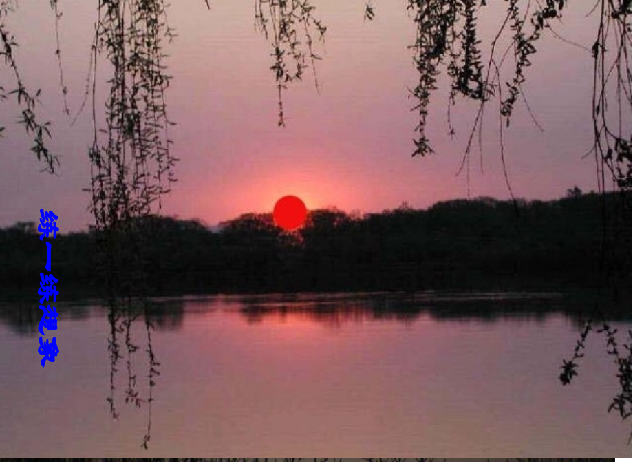 柳叶儿市公开课一等奖市赛课金奖课件.pptx_第1页