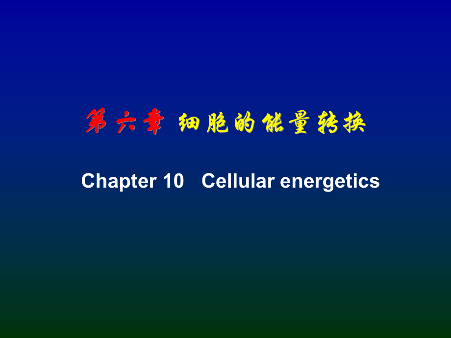 第6章细胞的能量转换(6.13).ppt_第1页
