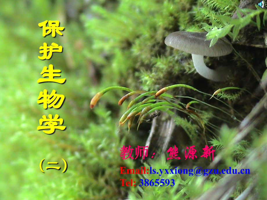 生物多样性1.ppt_第1页