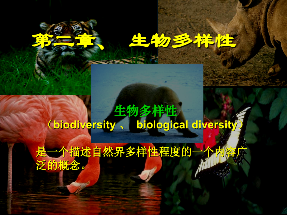 生物多样性1.ppt_第2页