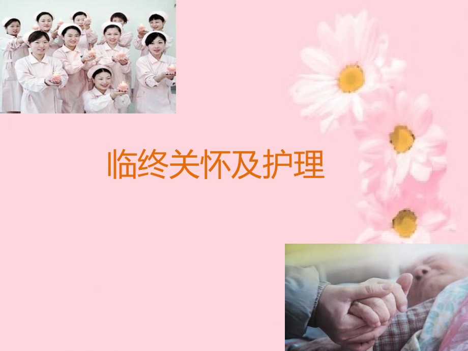 临终关怀和护理.pptx_第1页