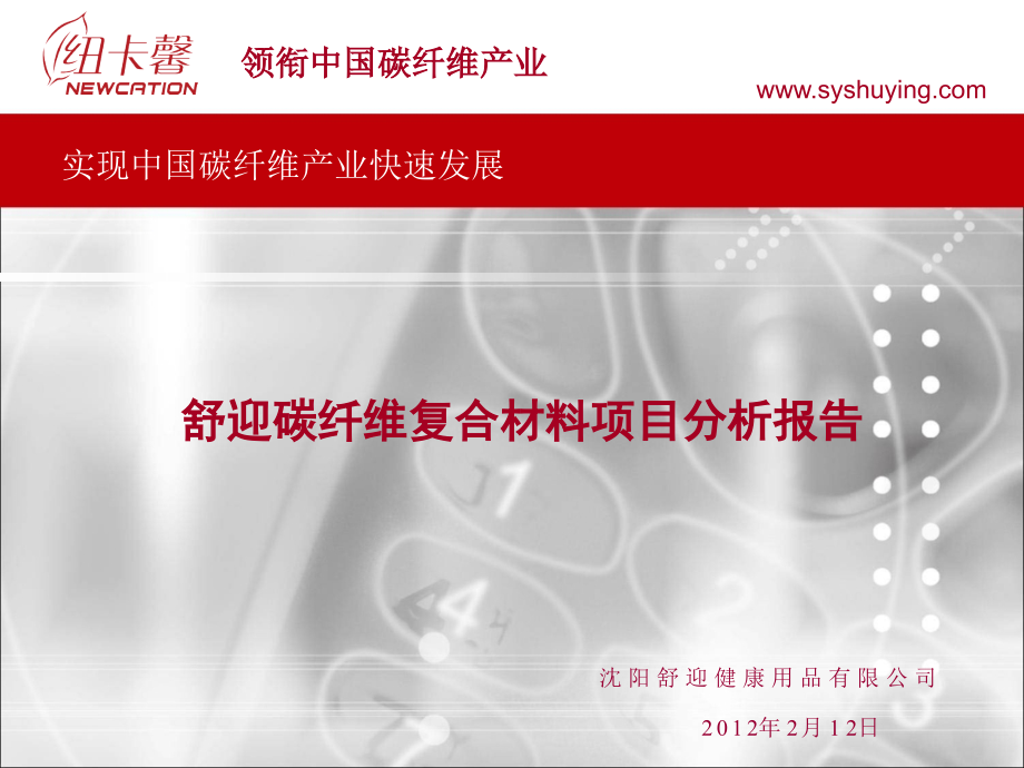 舒迎碳纤维复合材料项目分析报告.pptx_第1页