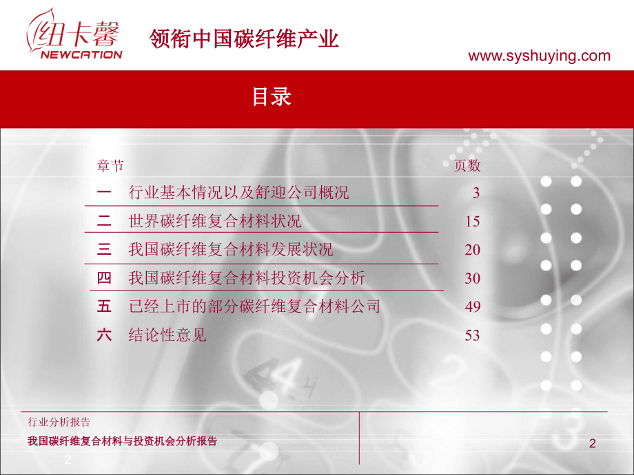 舒迎碳纤维复合材料项目分析报告.pptx_第2页