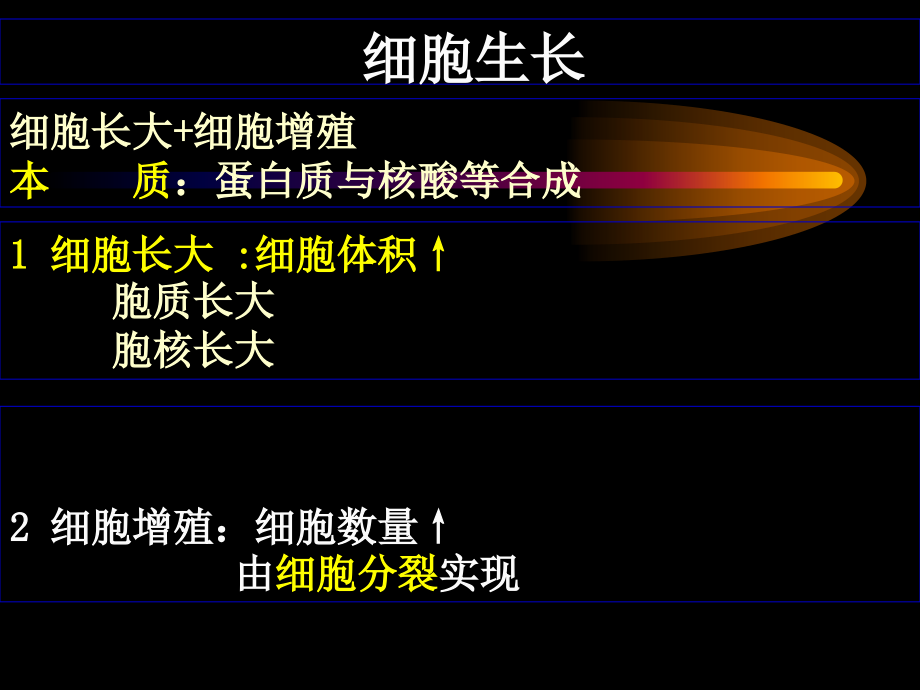发育生物学第四周简.ppt_第2页