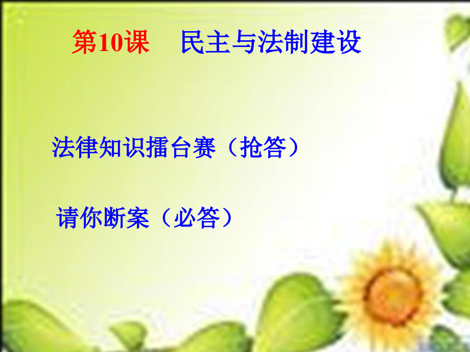 第10课民主法制建设华师版八下.ppt_第2页