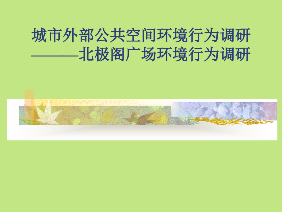 南京北极阁广场项目市场调研分析报告(31页).ppt_第1页