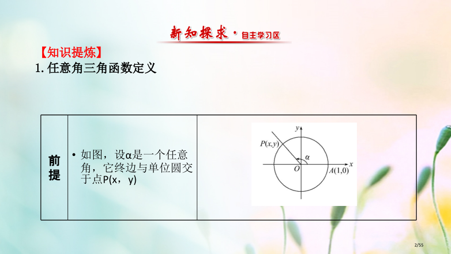 高中数学第一章三角函数1.2.1任意角的三角函数1教案省公开课一等奖新名师优质课获奖PPT课件.pptx_第2页