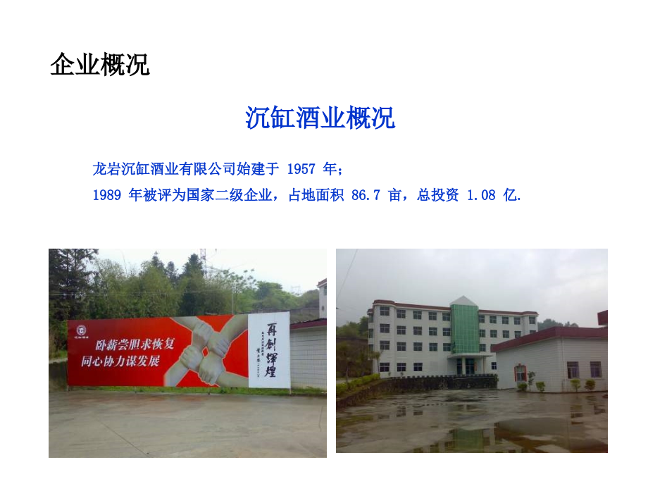 沉缸传播方案.ppt_第2页