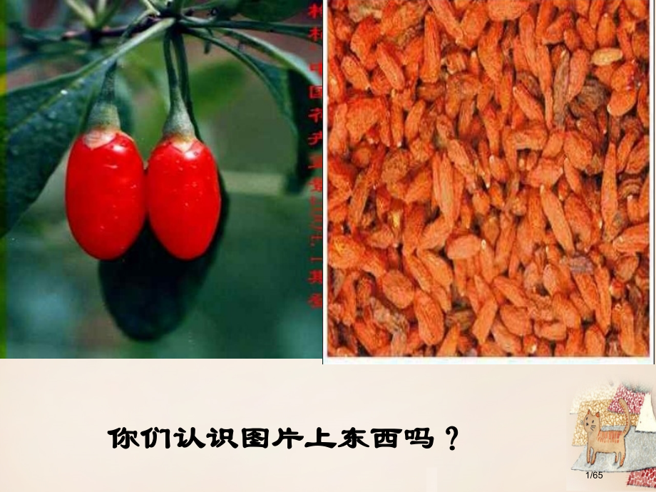 庐江县罗河镇初级中学七年级语文下册第8课三颗枸杞豆省公开课一等奖新名师优质课获奖PPT课件.pptx_第1页