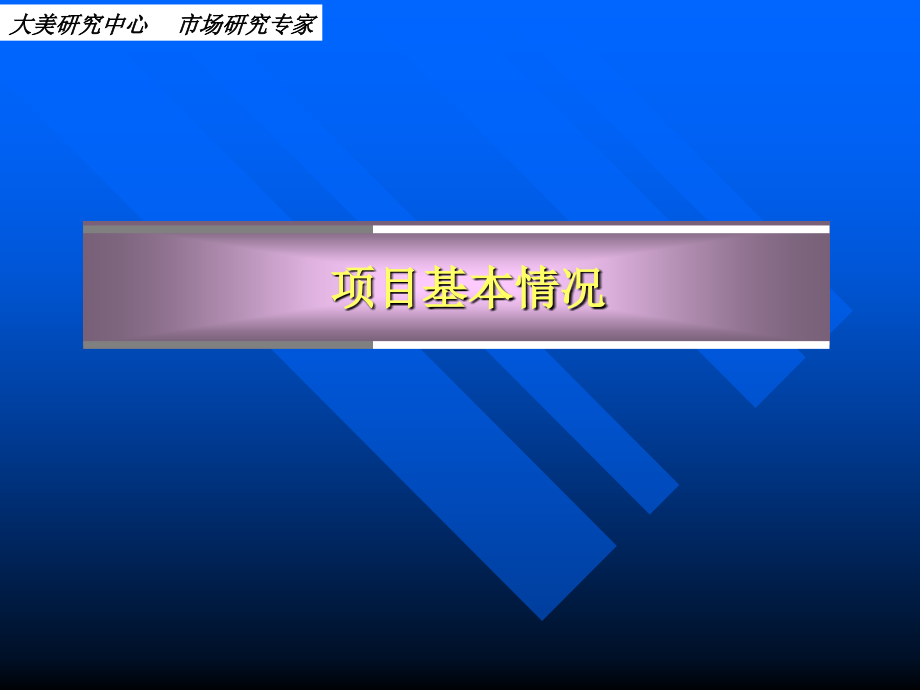 中国太阳热水器渠道研究报告.ppt_第2页
