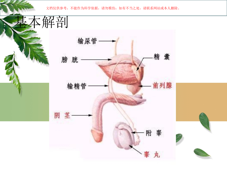 睾丸切除术医学知识课件.ppt_第2页