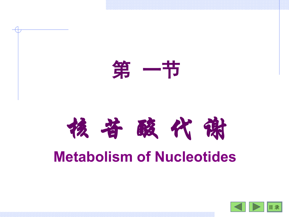 第10章核苷酸及遗传信息的储存.ppt_第1页