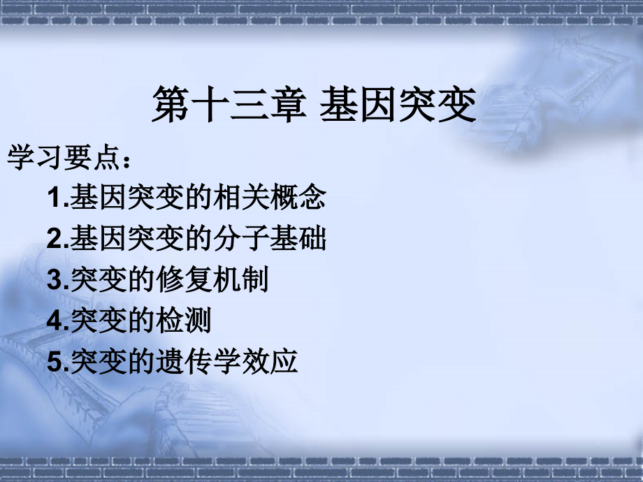 第13章基因突变与DNA损伤修复.ppt_第1页