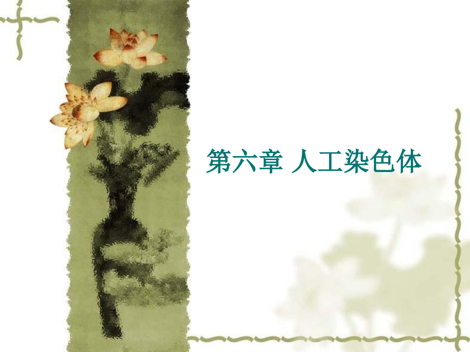 第六章人工染色体.ppt_第1页