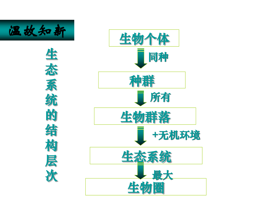 生物51生态系统的结构.ppt_第1页