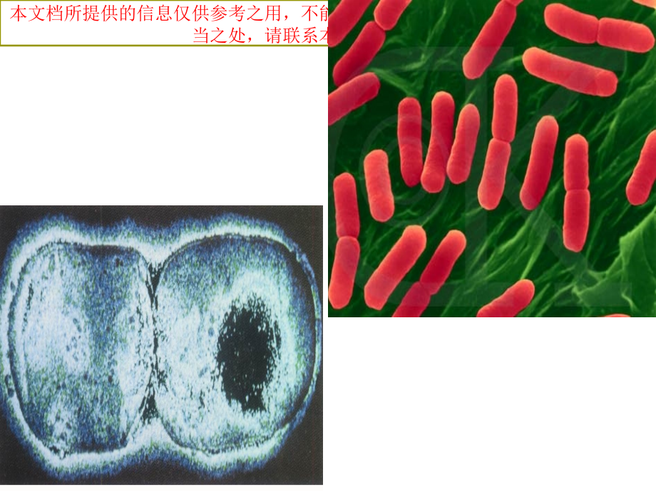 细菌的生长繁殖和群体特征专业知识讲座.ppt_第2页