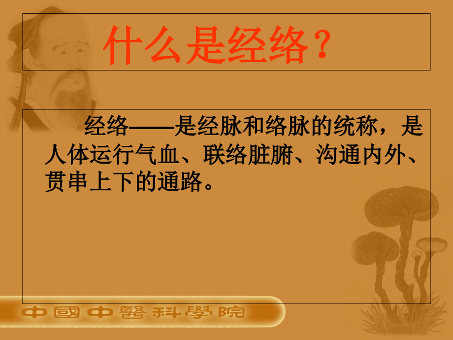 特效穴位之原穴附有穴位图.ppt_第2页