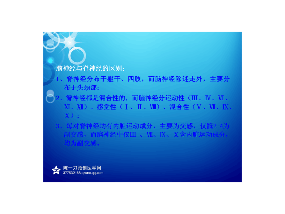 脊神经学.ppt_第2页