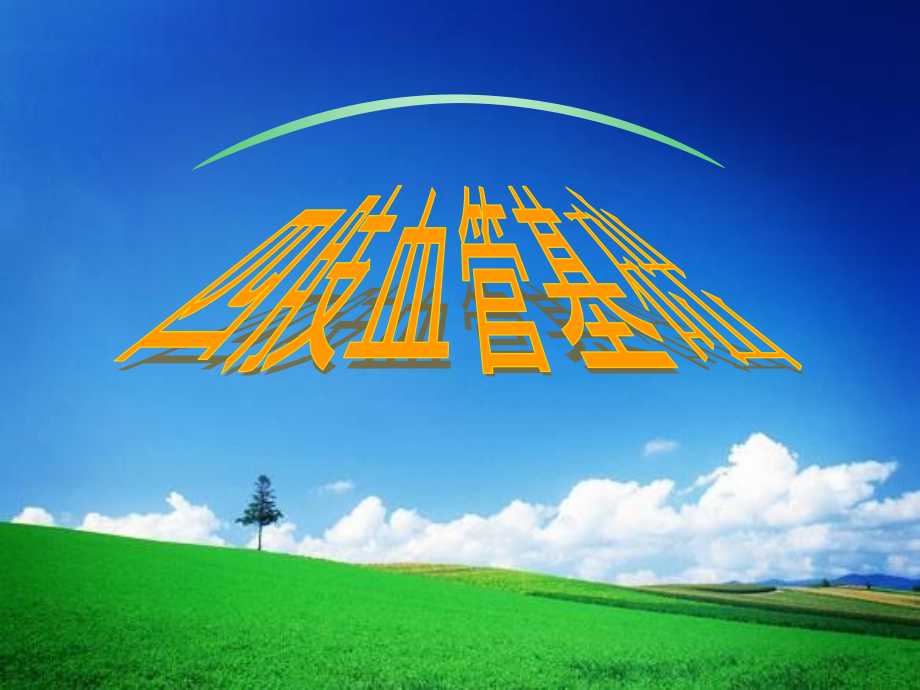 四肢血管基础.ppt_第1页