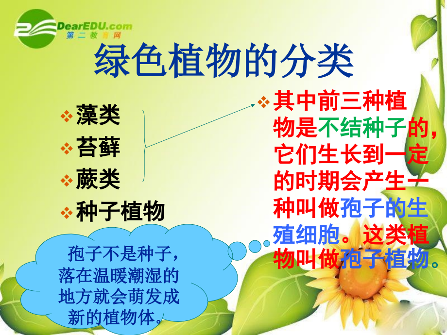 七年级生物第一节藻类、苔藓和蕨类植物人教版.ppt_第2页