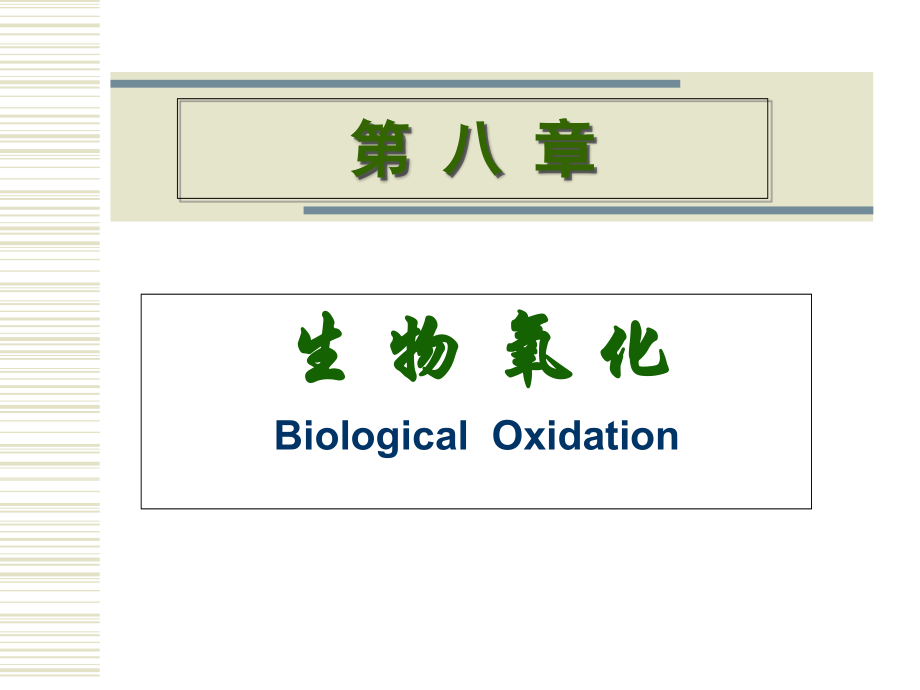 第08章生物氧化.ppt_第1页