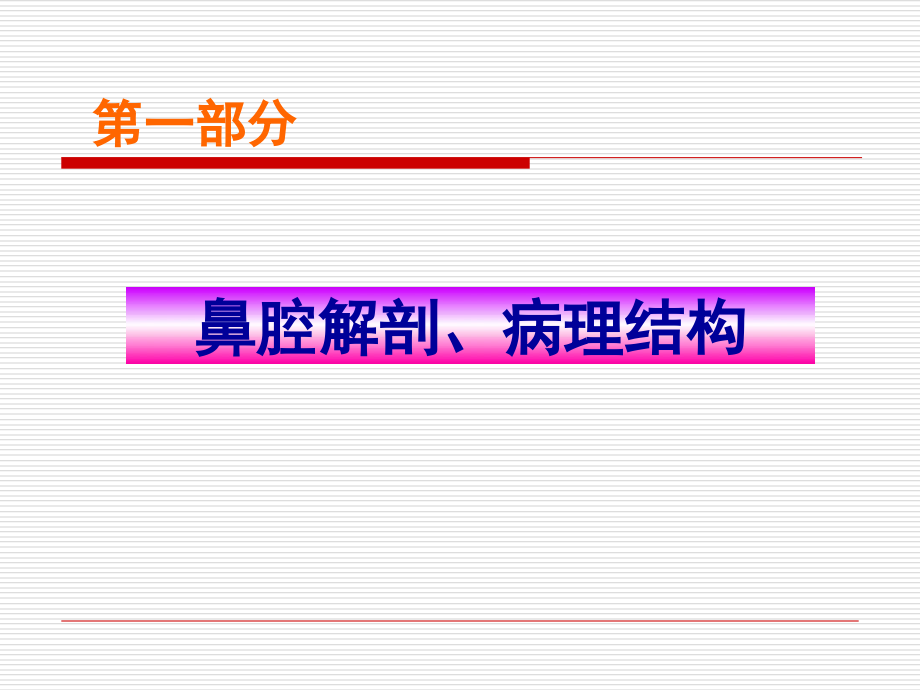 中药保健常识第6讲过敏性鼻炎.ppt_第2页
