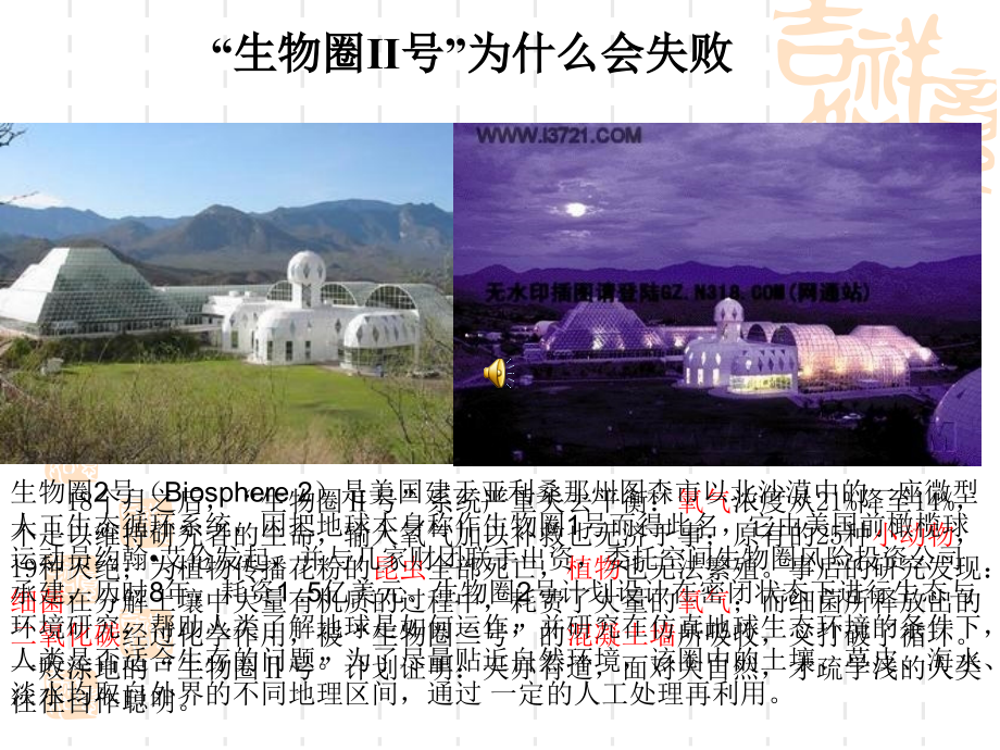 水中的动物xz.ppt_第1页