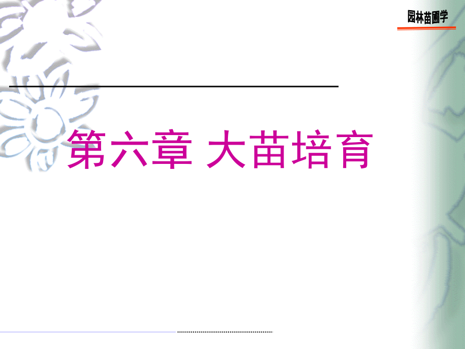 第六章大苗培育.ppt_第1页