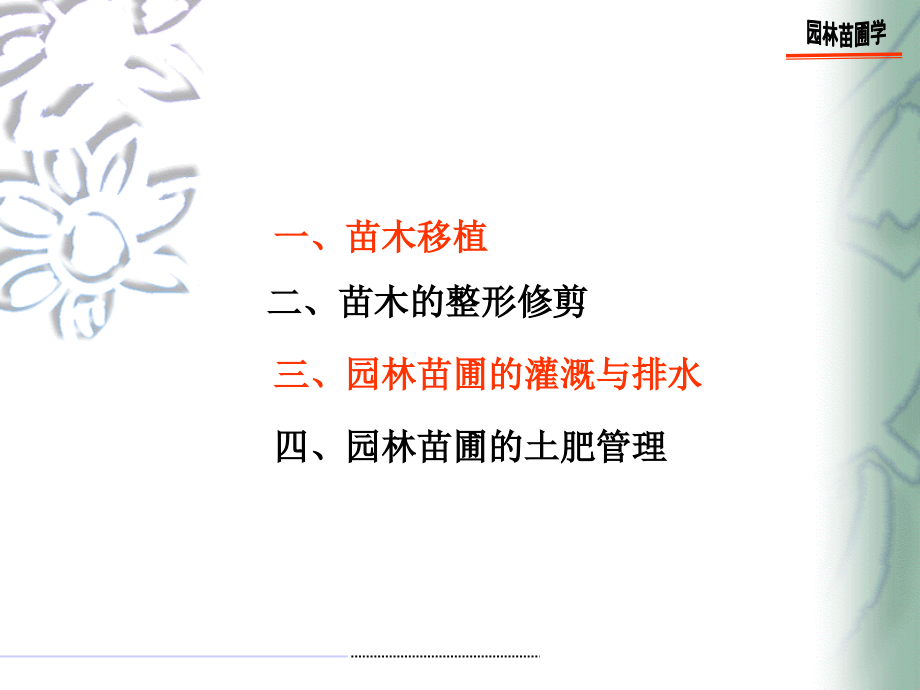 第六章大苗培育.ppt_第2页