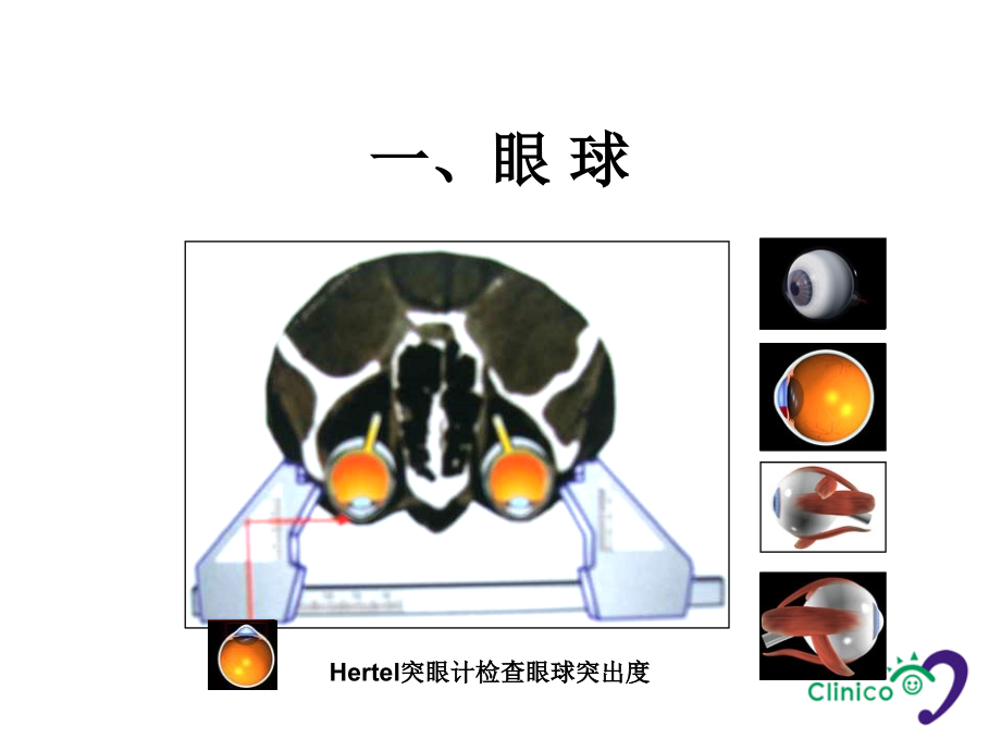 眼睛的解剖介绍.ppt_第2页