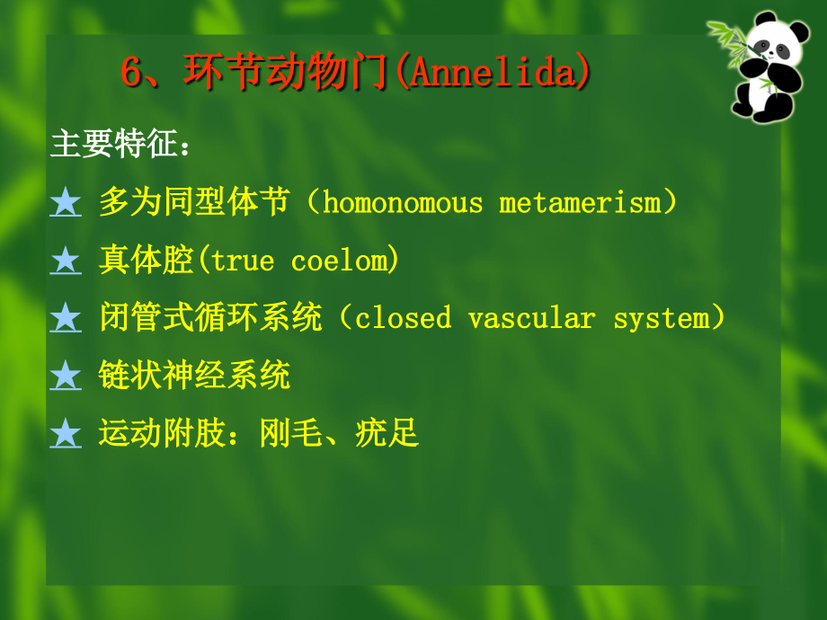 生命类型的演化2.ppt_第2页