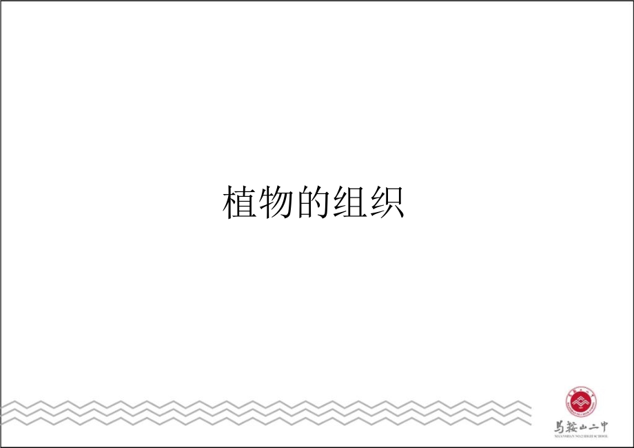 植物组织上课用.ppt_第1页